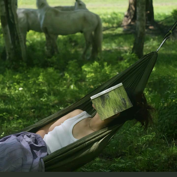 ˘荔枝˘