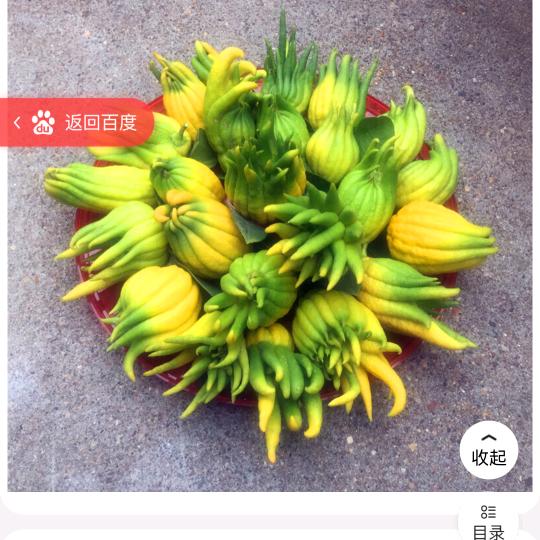 传递正能量🌺 艾艾贴
