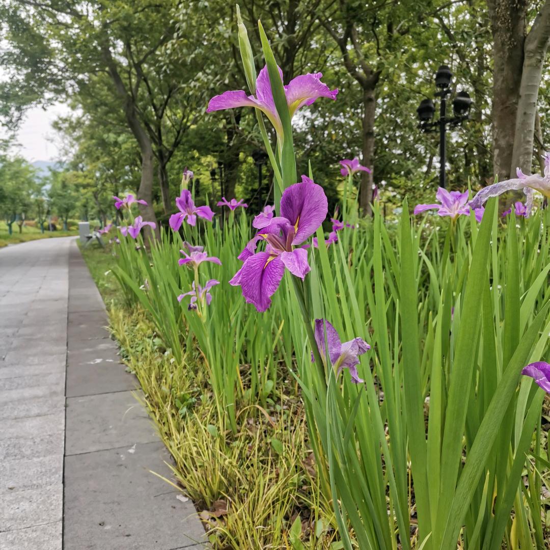 🐂⁰⁵.₂₁巧℘࿐