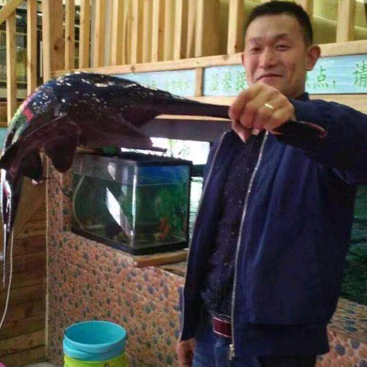 独行施主阿荣寒心过，回头看绝不回头
