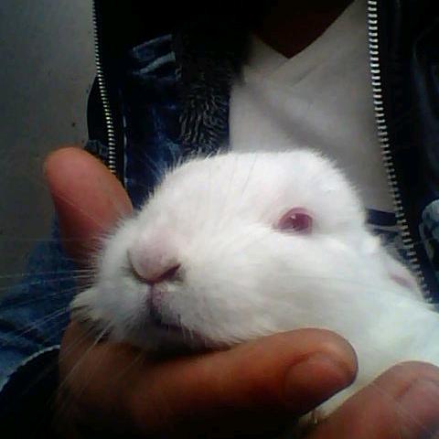 心里想着一个人