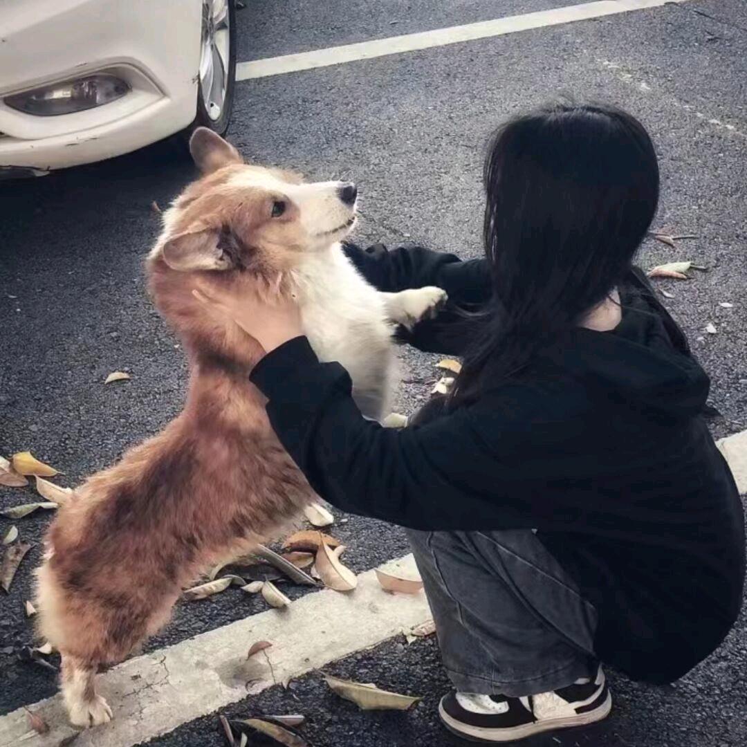 YY.