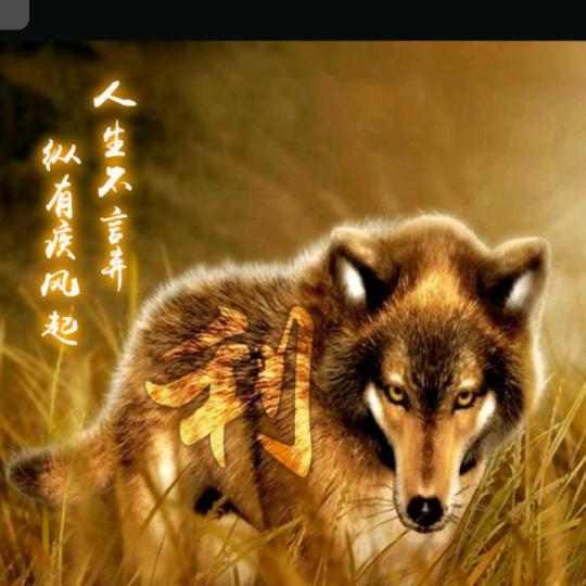 释怀随风