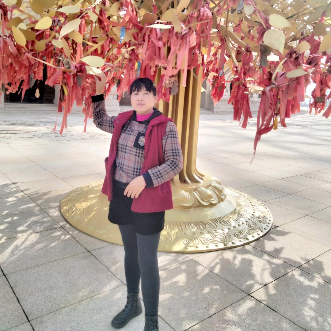 🌹时来运转🌹