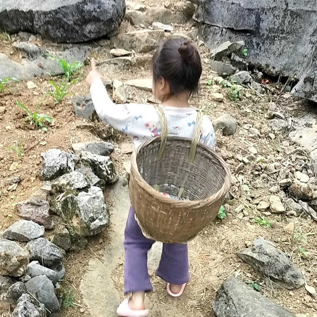 成连夫妇