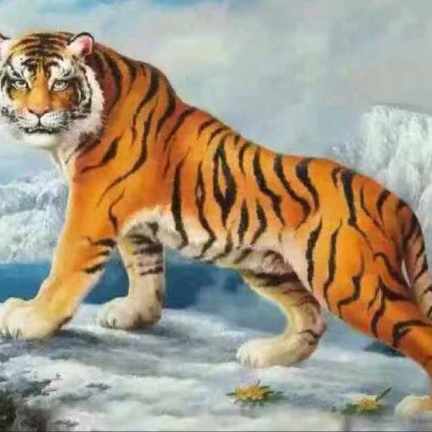 🌈🌈🌈🌈🌈鸿明