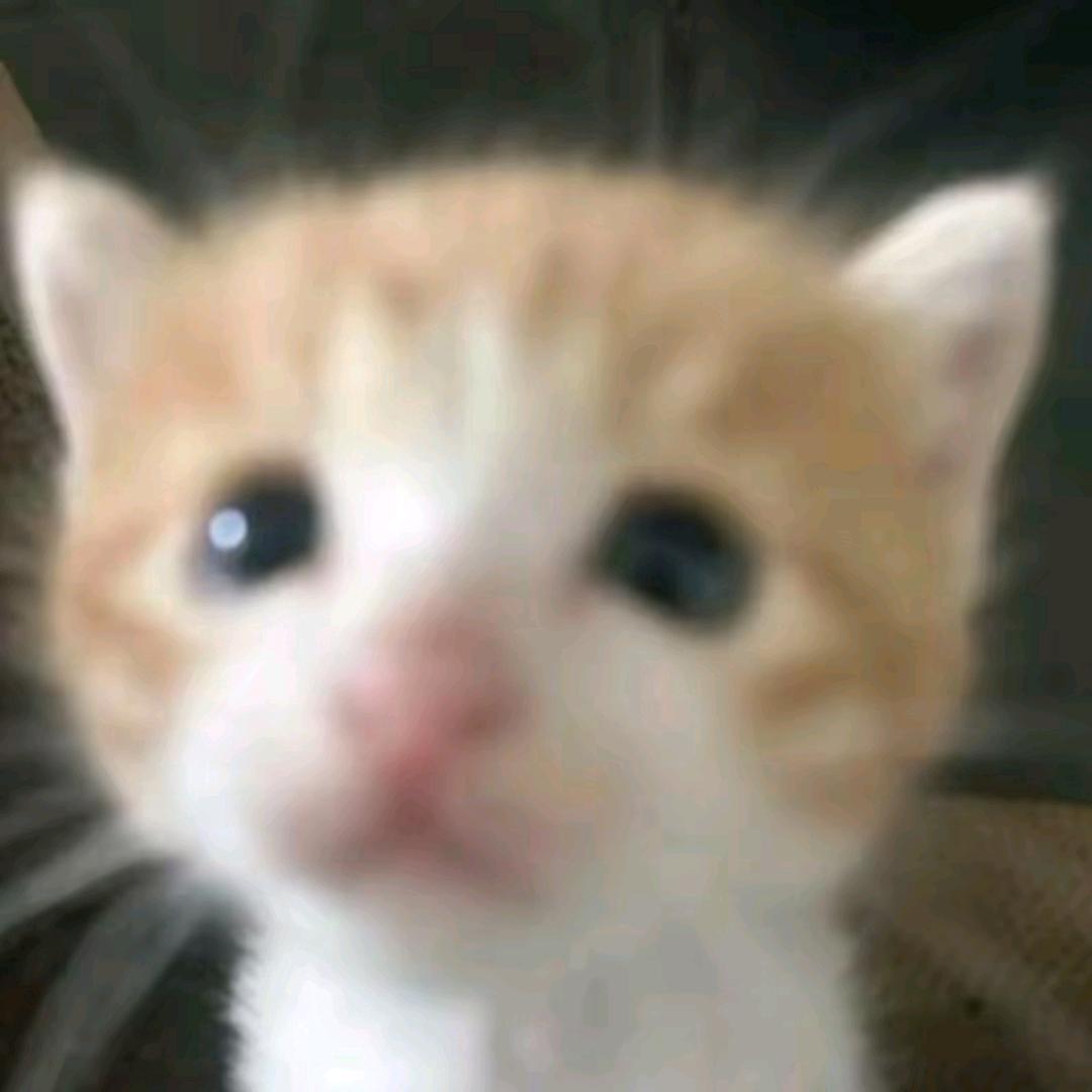 小馨愿
