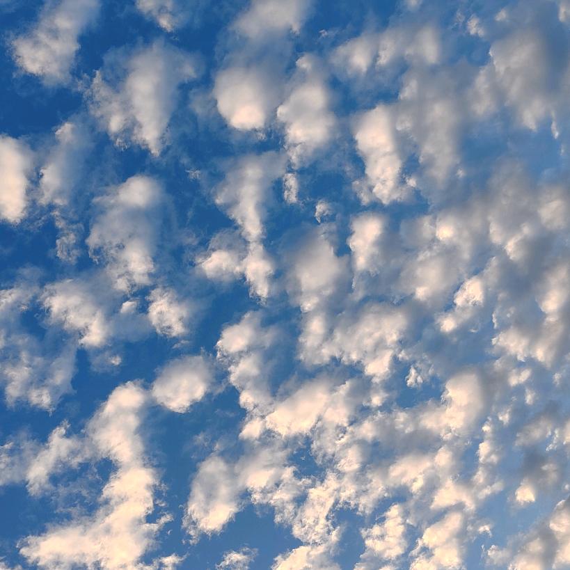 🫣护你周全🥰