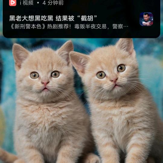 用户开心果