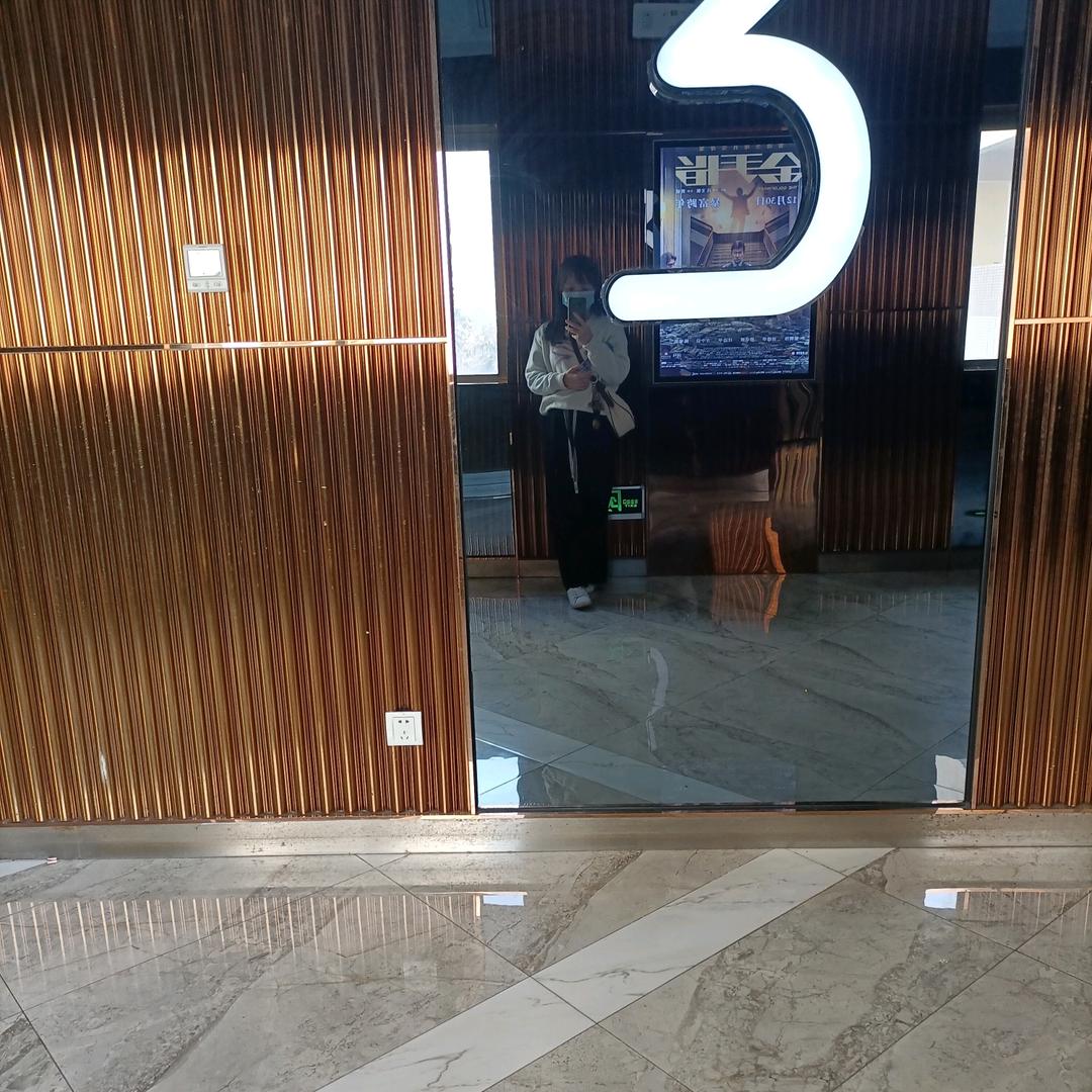 🦆                🪰