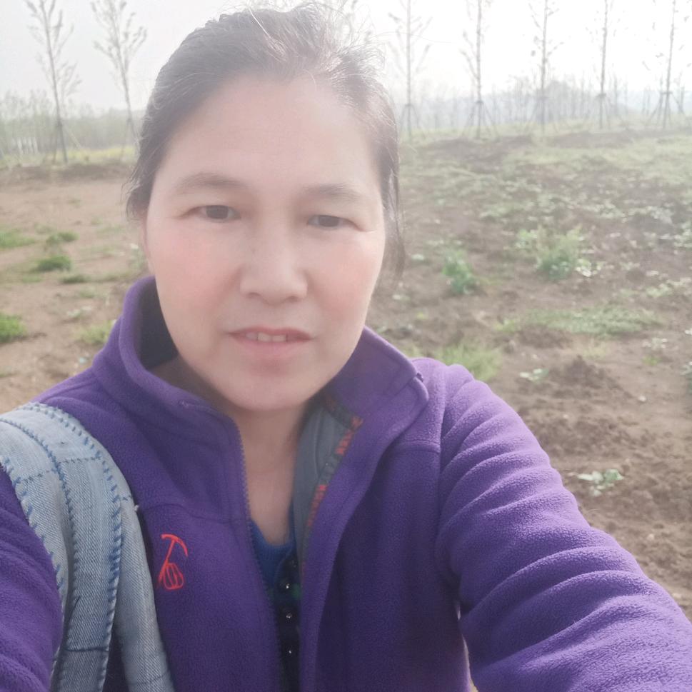 田英婆媳