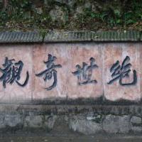 信任