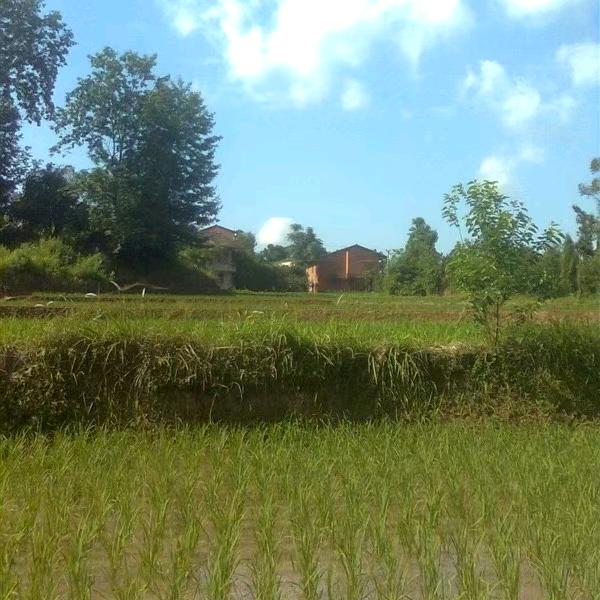 简单、生活