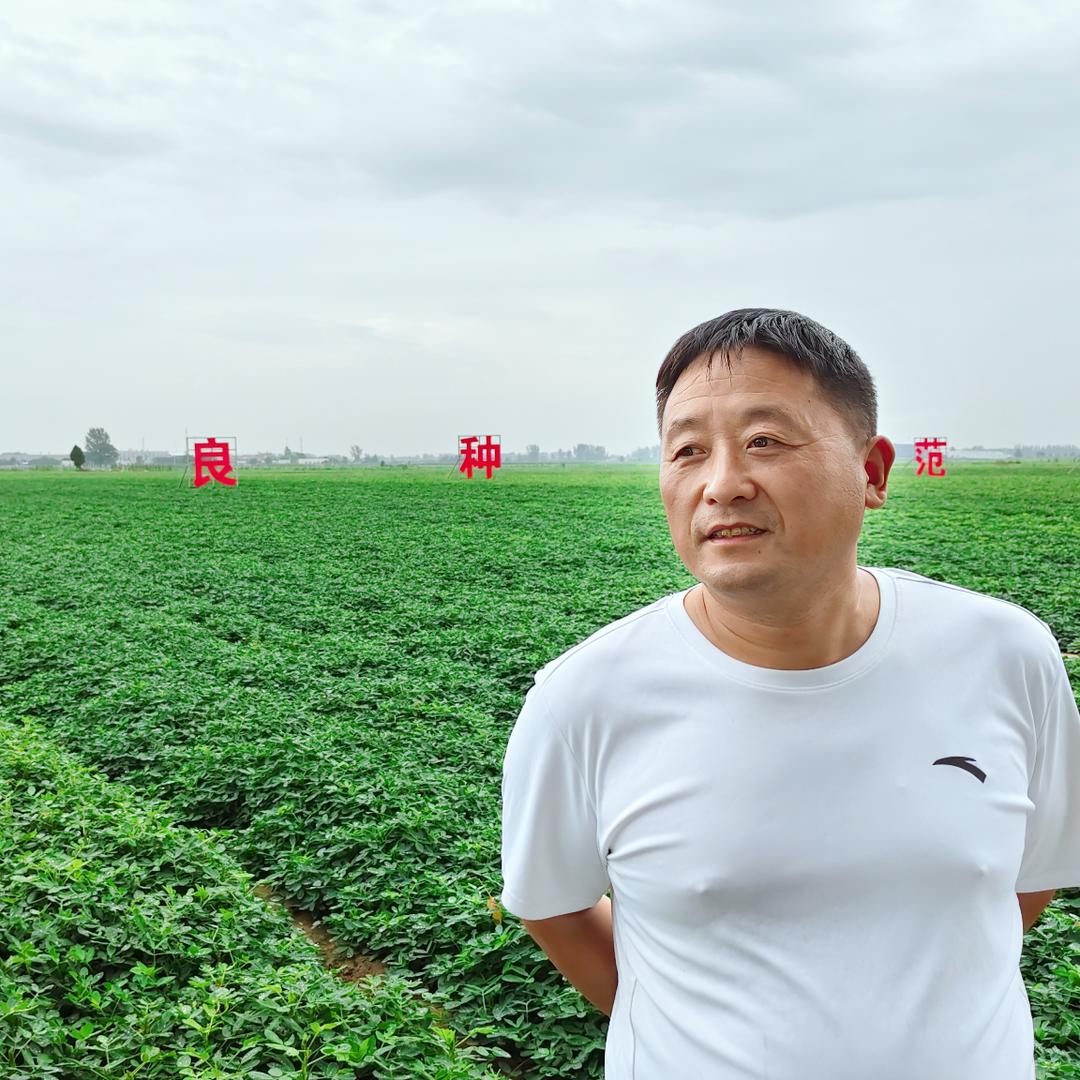 开封花生哥（常年供应手剥花生米）