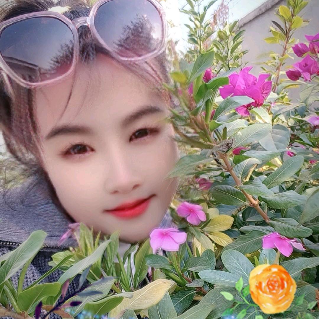 🌺锦上💐🌸天🍓🍎花🌹🍎🌺