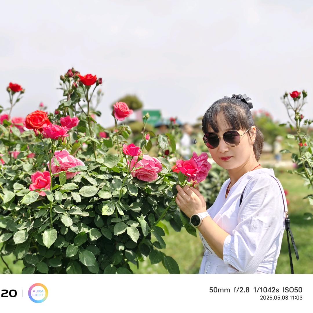 芬芬(我的一亩三分地)连赞拉黑
