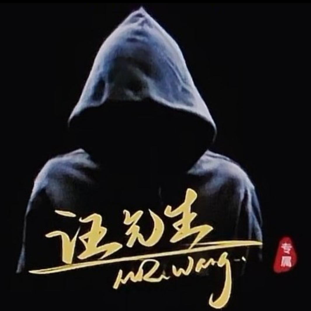 汪先生的工作日记