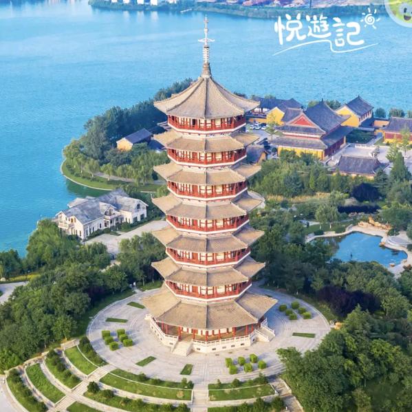 忠诚伪仕