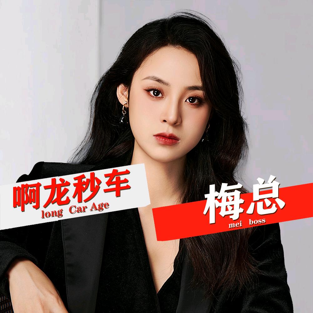 啊龙秒车（梅总）（搬迁至新塘广迎路1号）