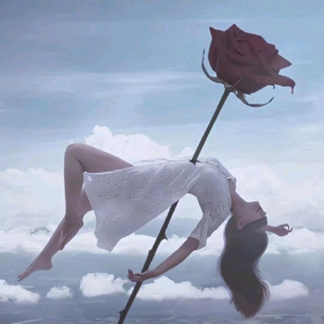 我的情深你若懂