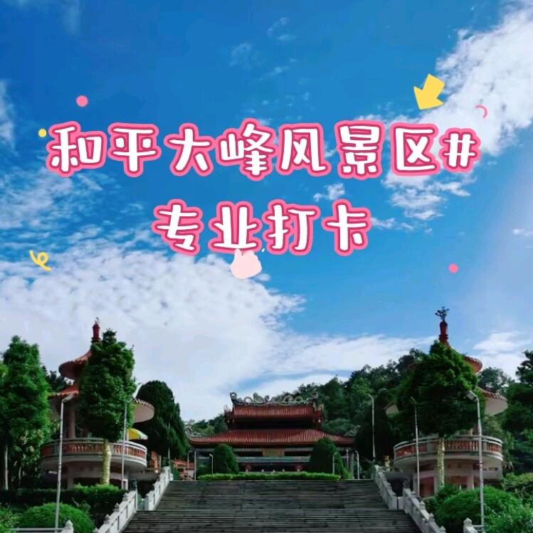 王总