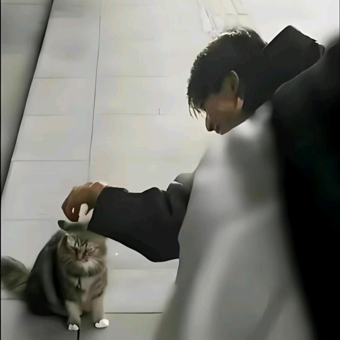 ＂晨宇