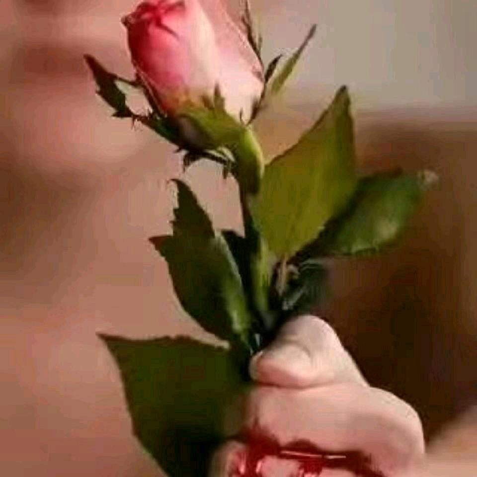 八方来财！缘来是你