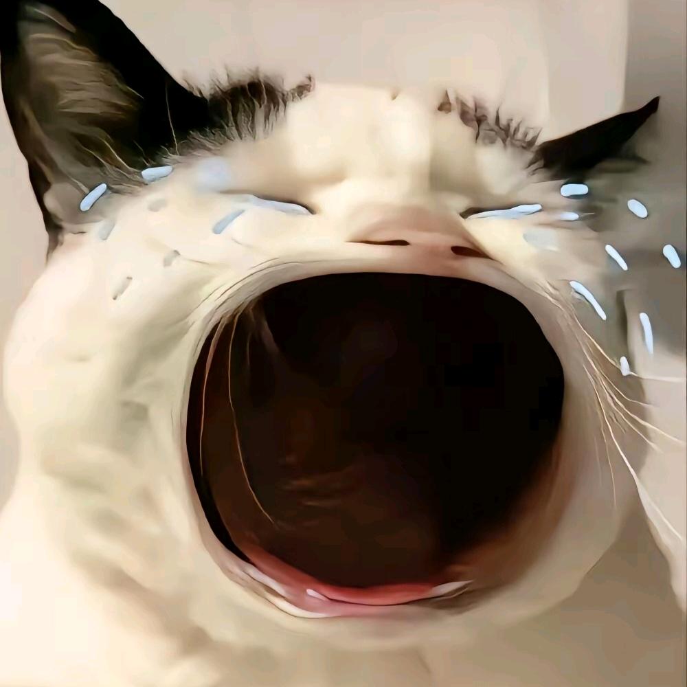 sol