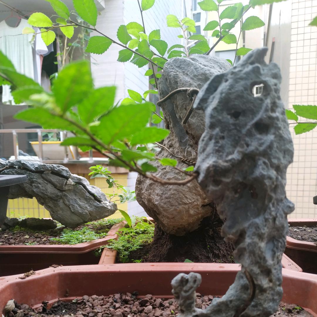 小布丁分享好物