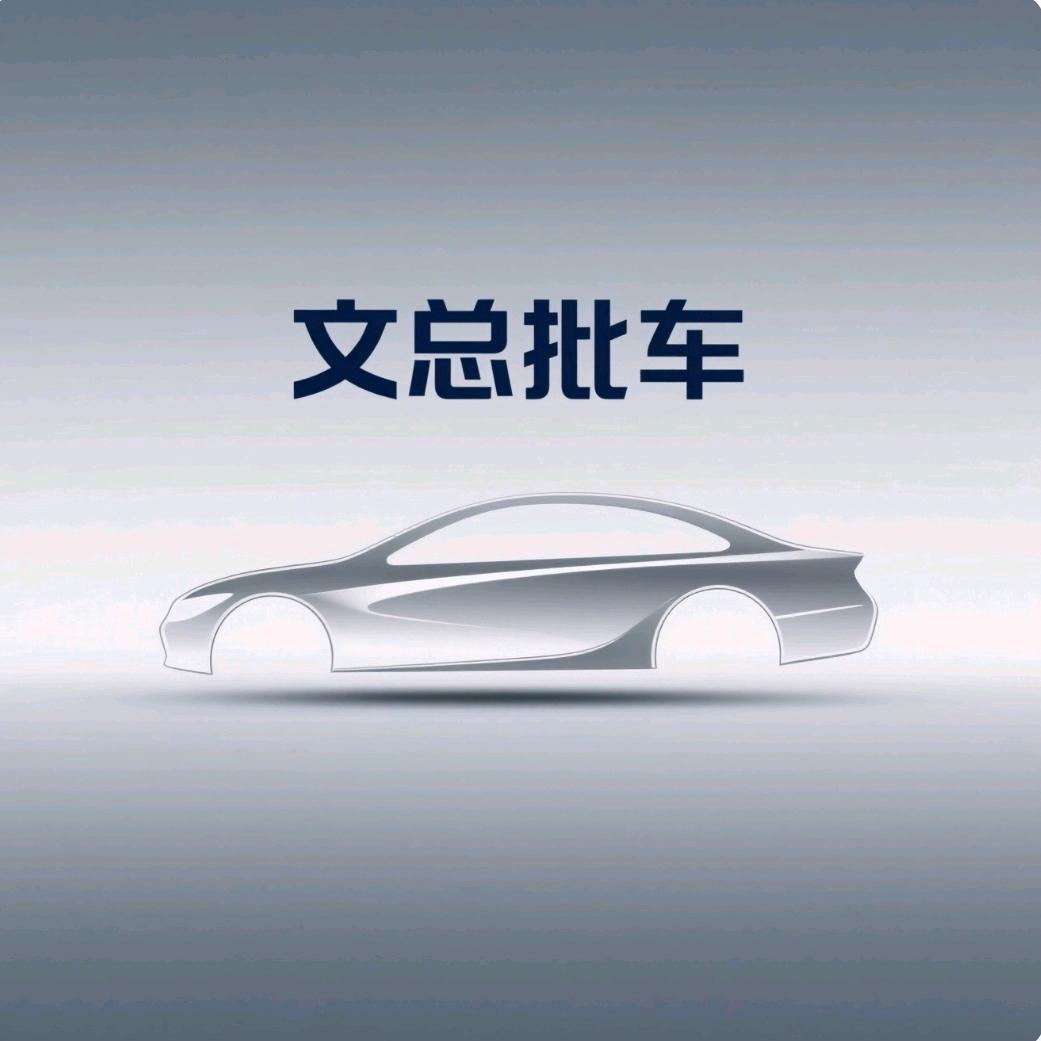 广州文总批车