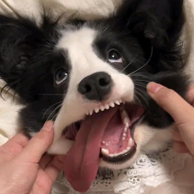 北辰