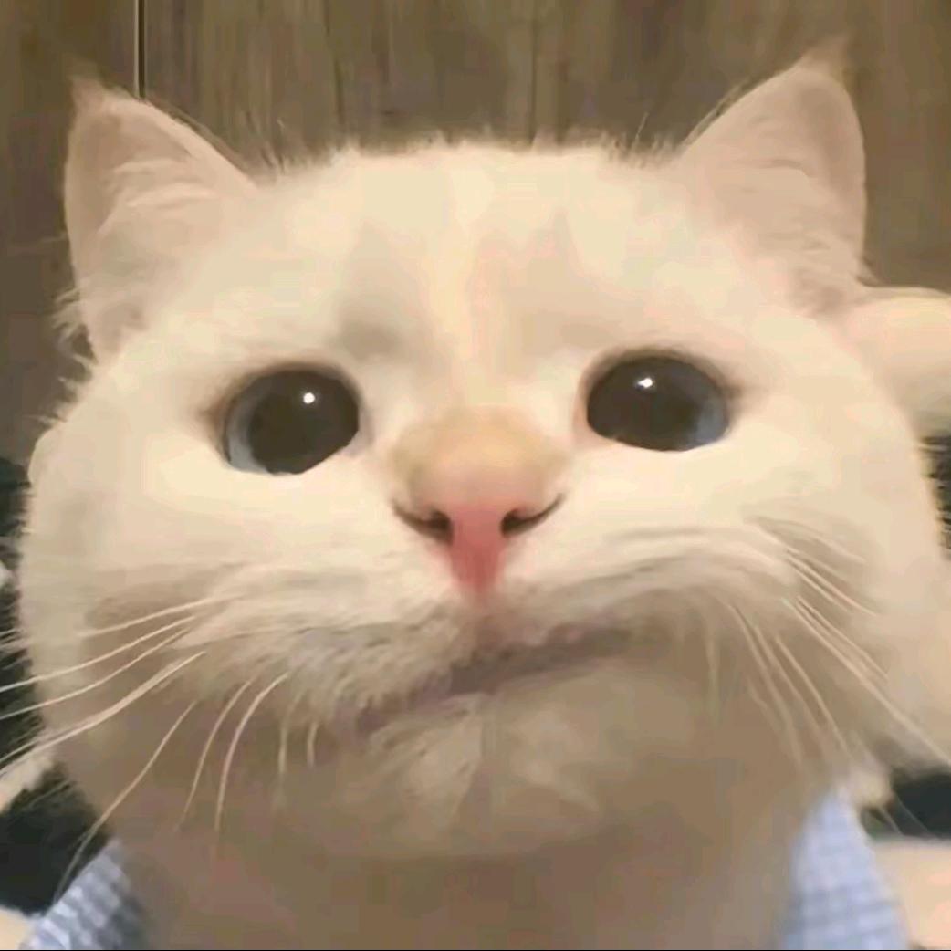 风筝