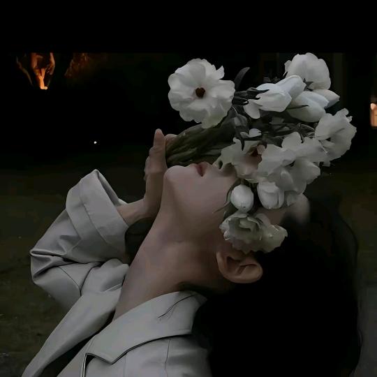 🕊海棠无香ོꦿ࿐