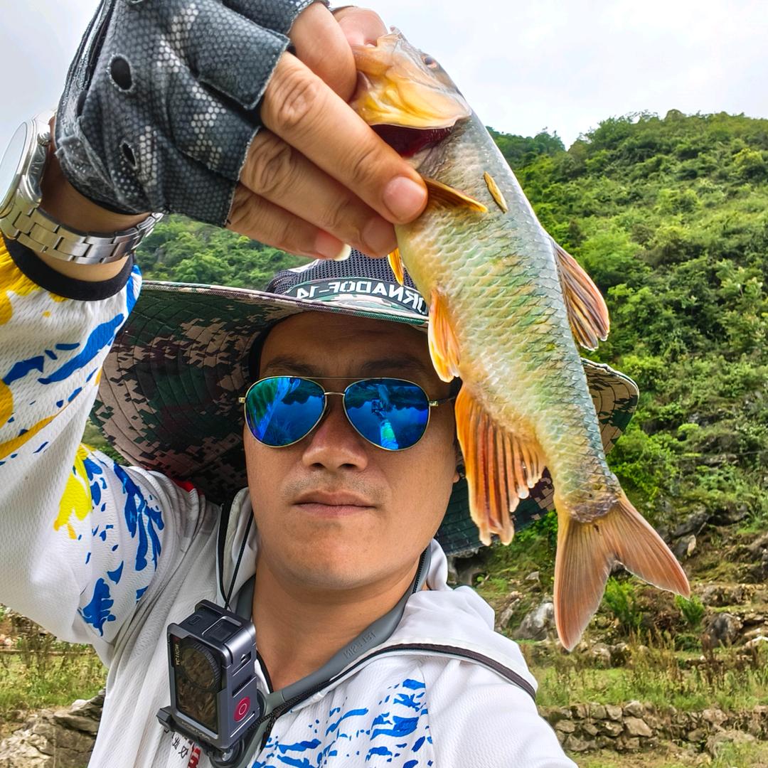 三水番的马口笔记