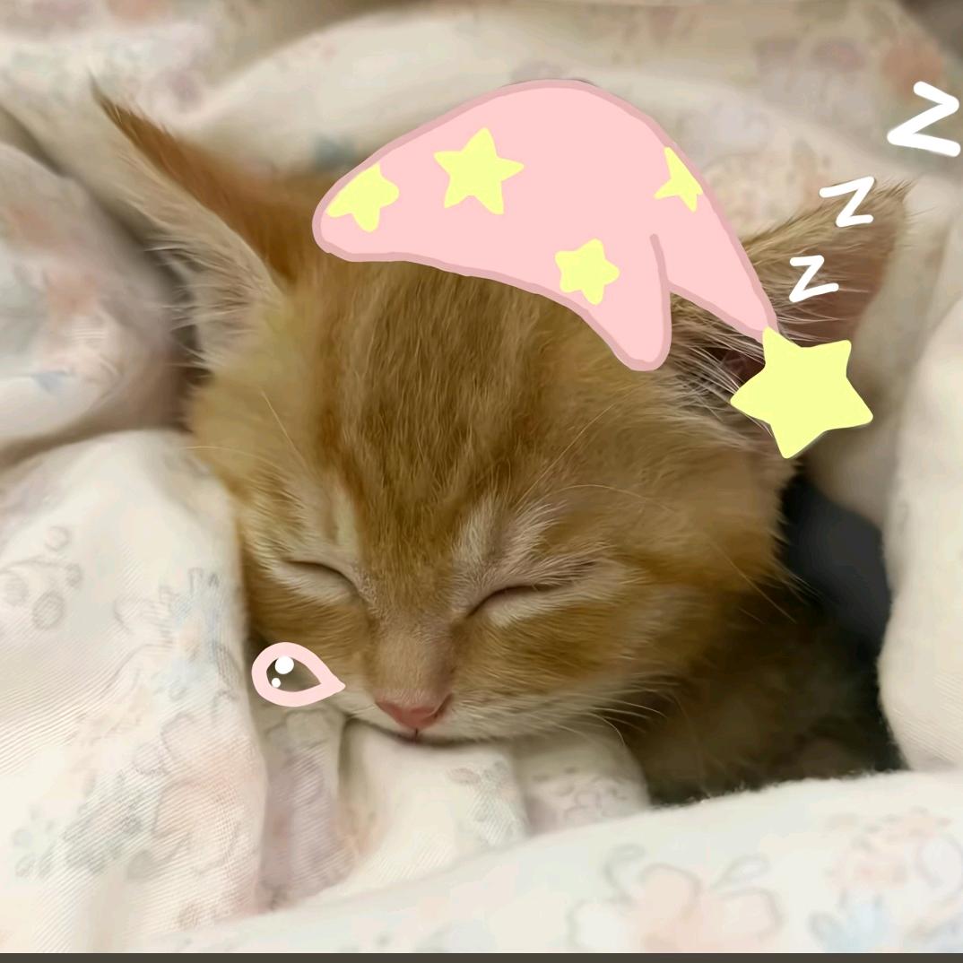 蔓越莓
