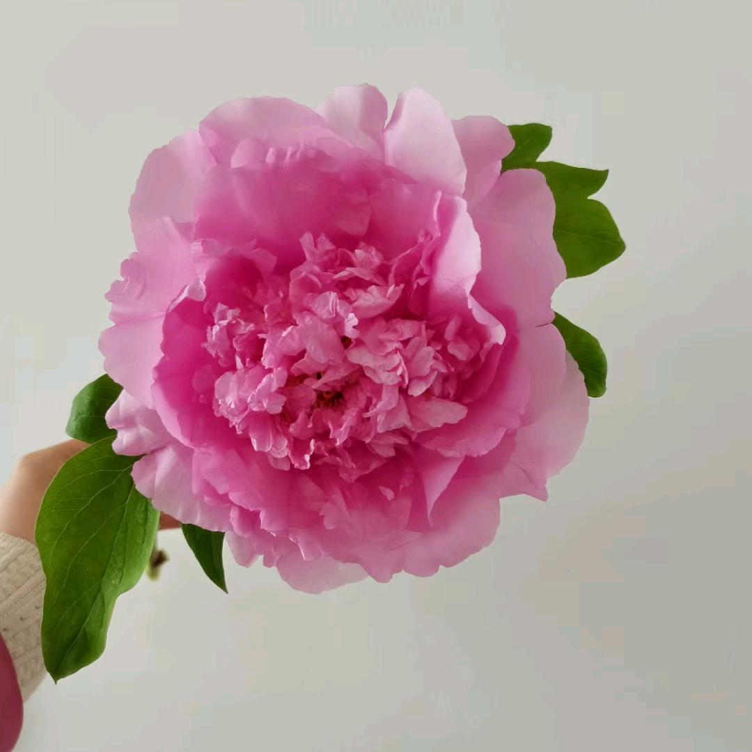 静水