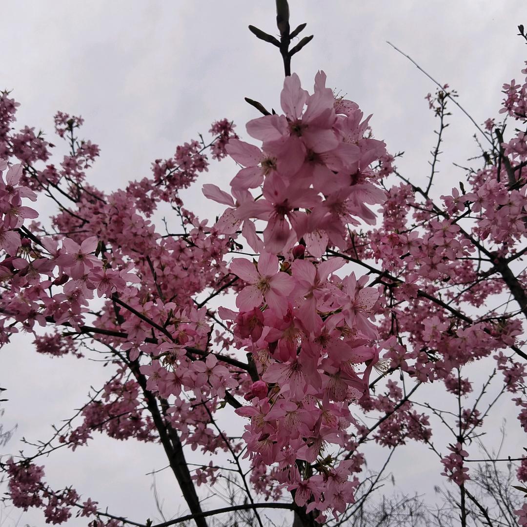 人生是一场修行，要懂得断舍离