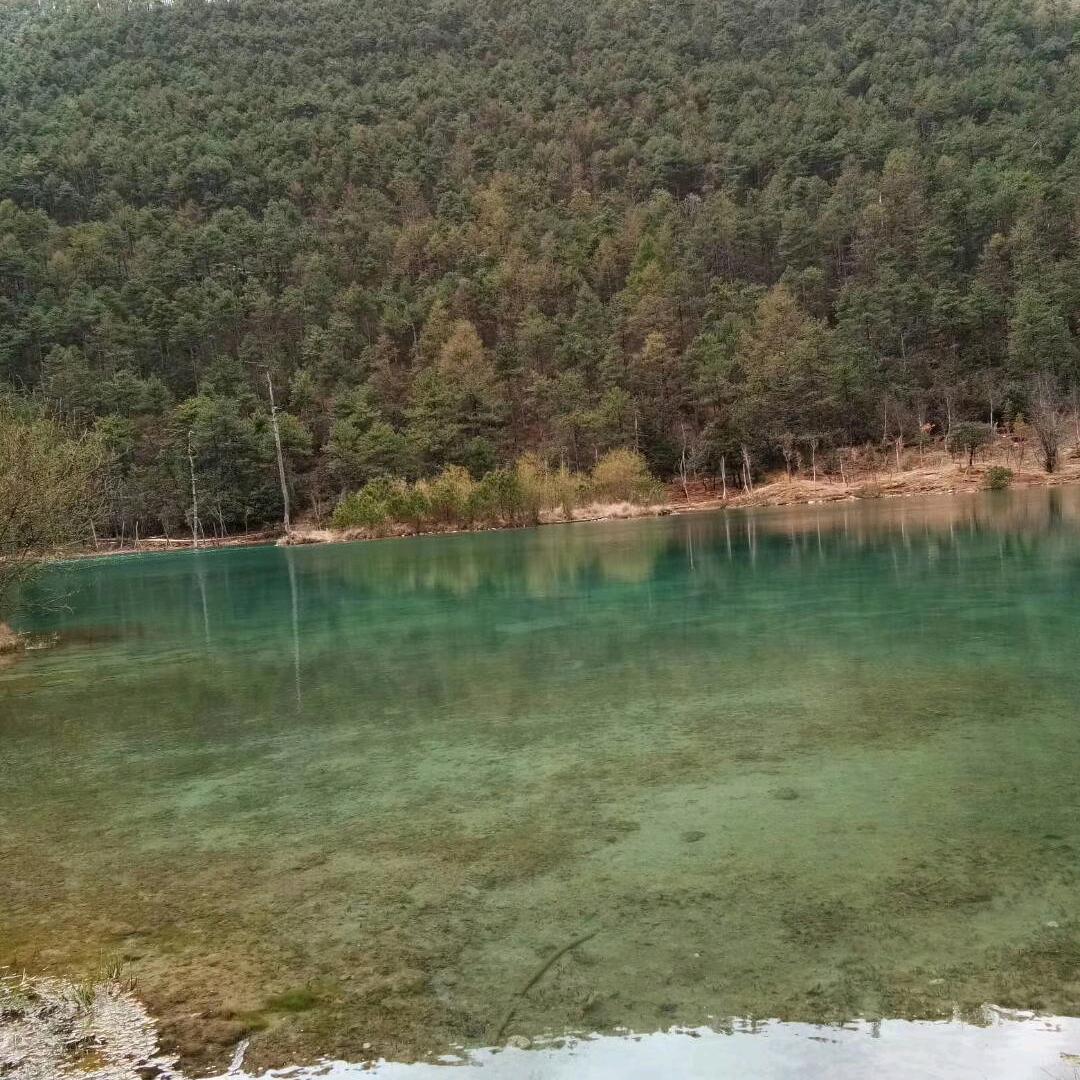 🧚‍♀️🧚‍♀️💃💃💋💋👑