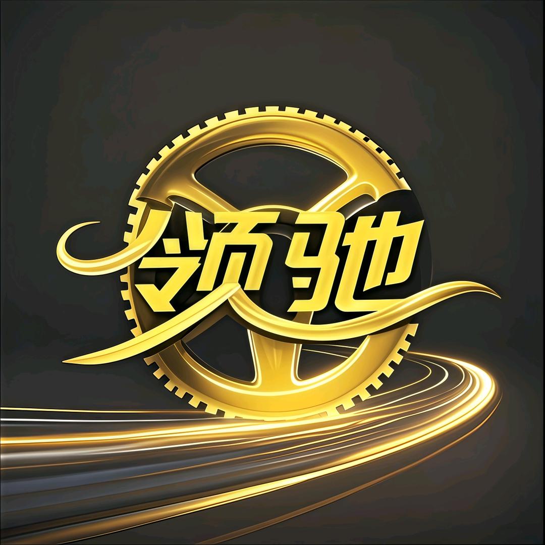 领驰汽车陪练-袁教练