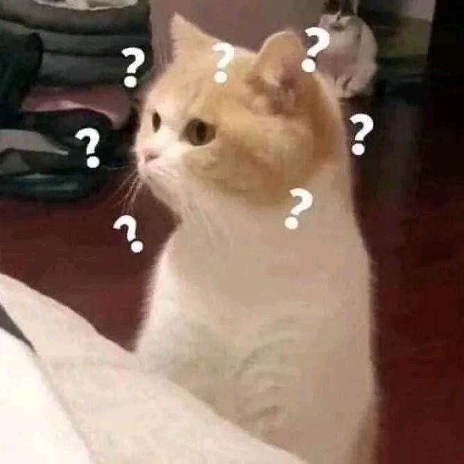 3055