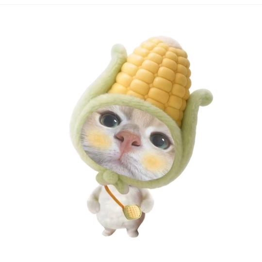 玉米