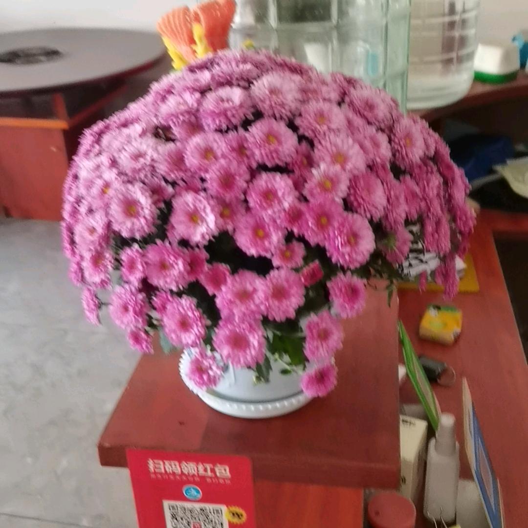 清真园牛菜馆。