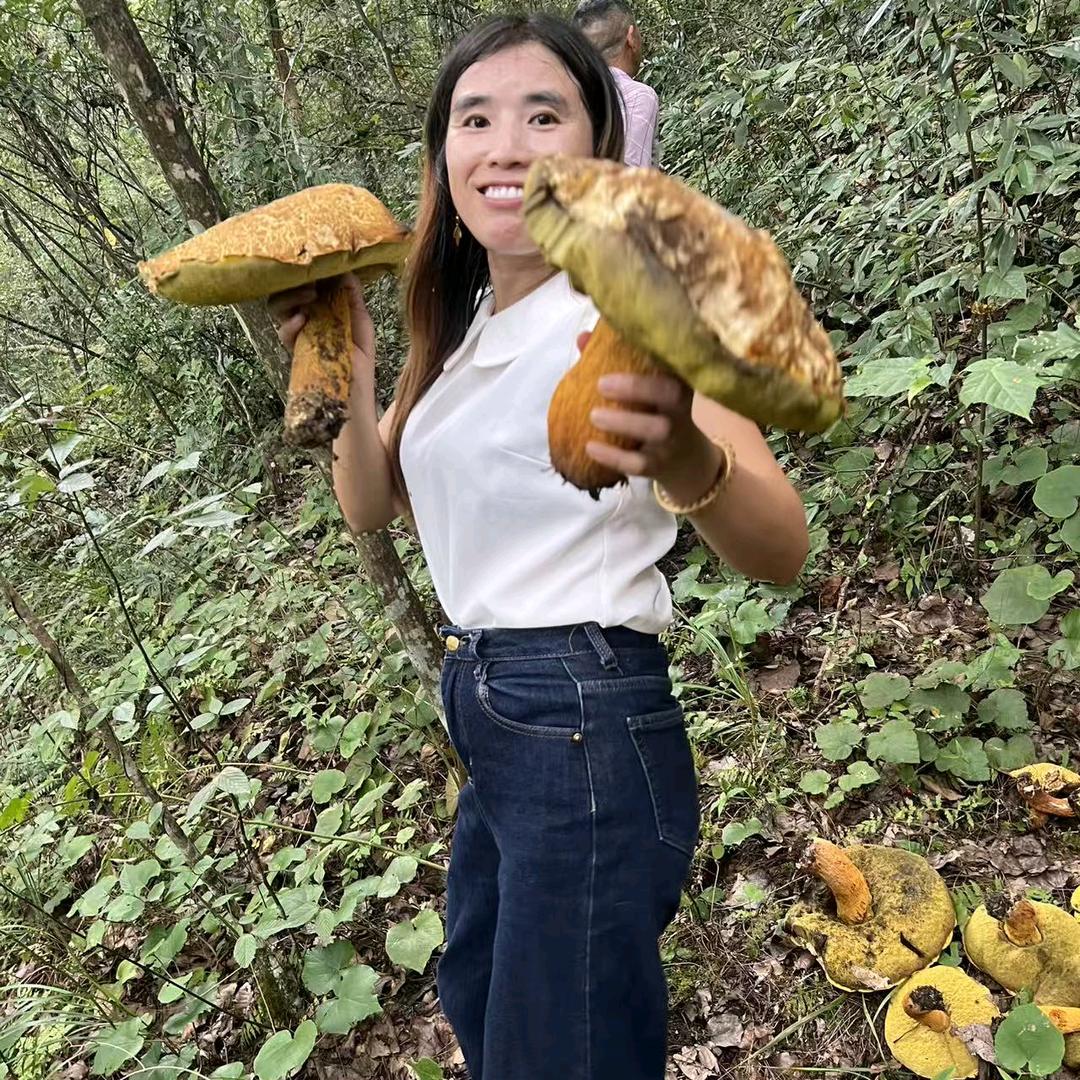黎不离，我不弃