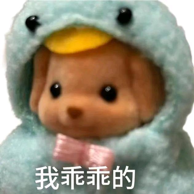 不做朵拉