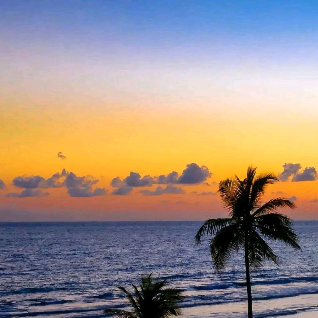 宝鸡鑫泊璋钛板材生产加工