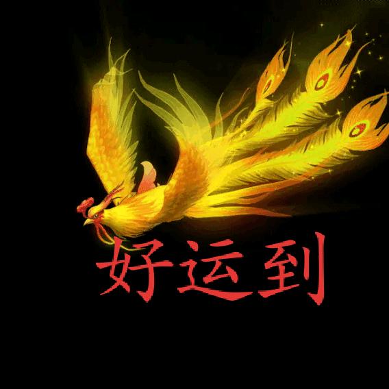快乐星空