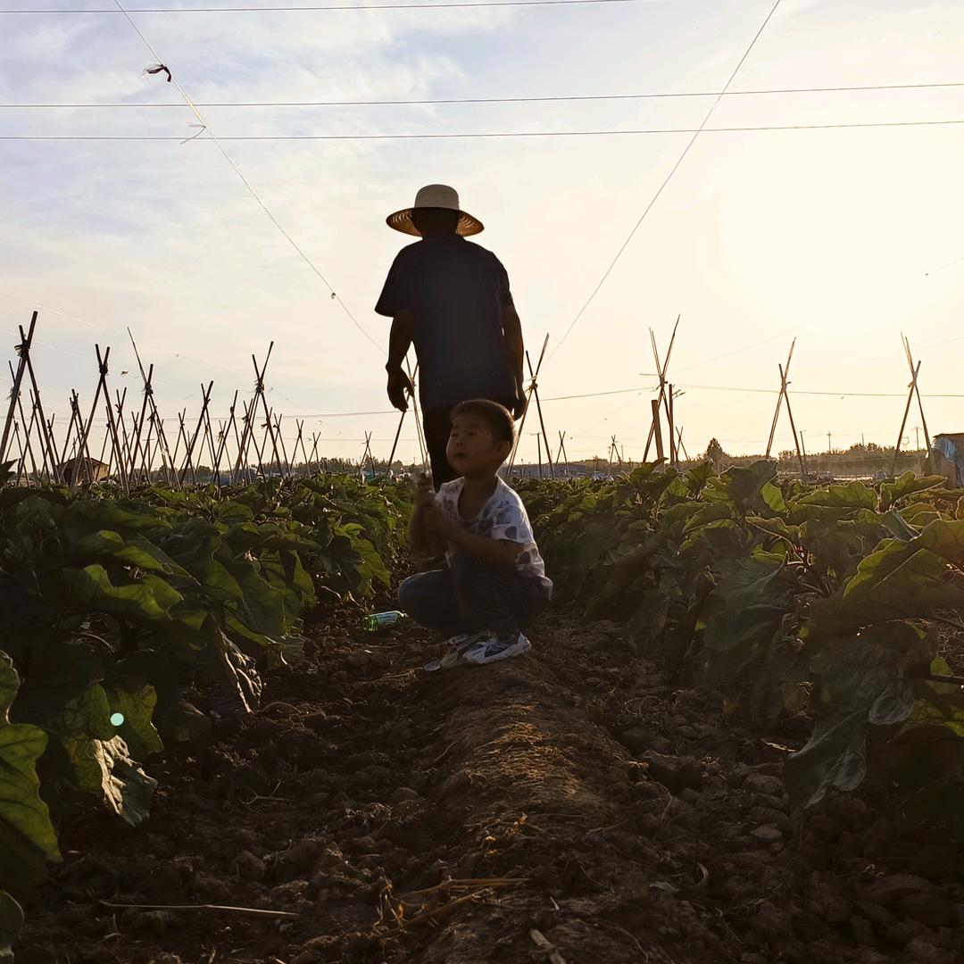 农村老爸的日常
