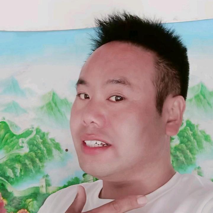 呆萌小宠物