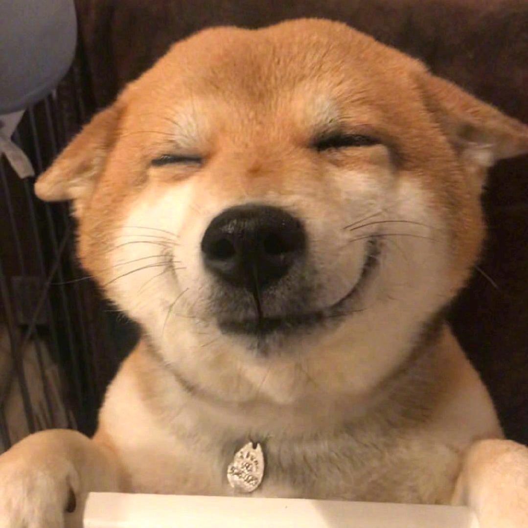南博赛文