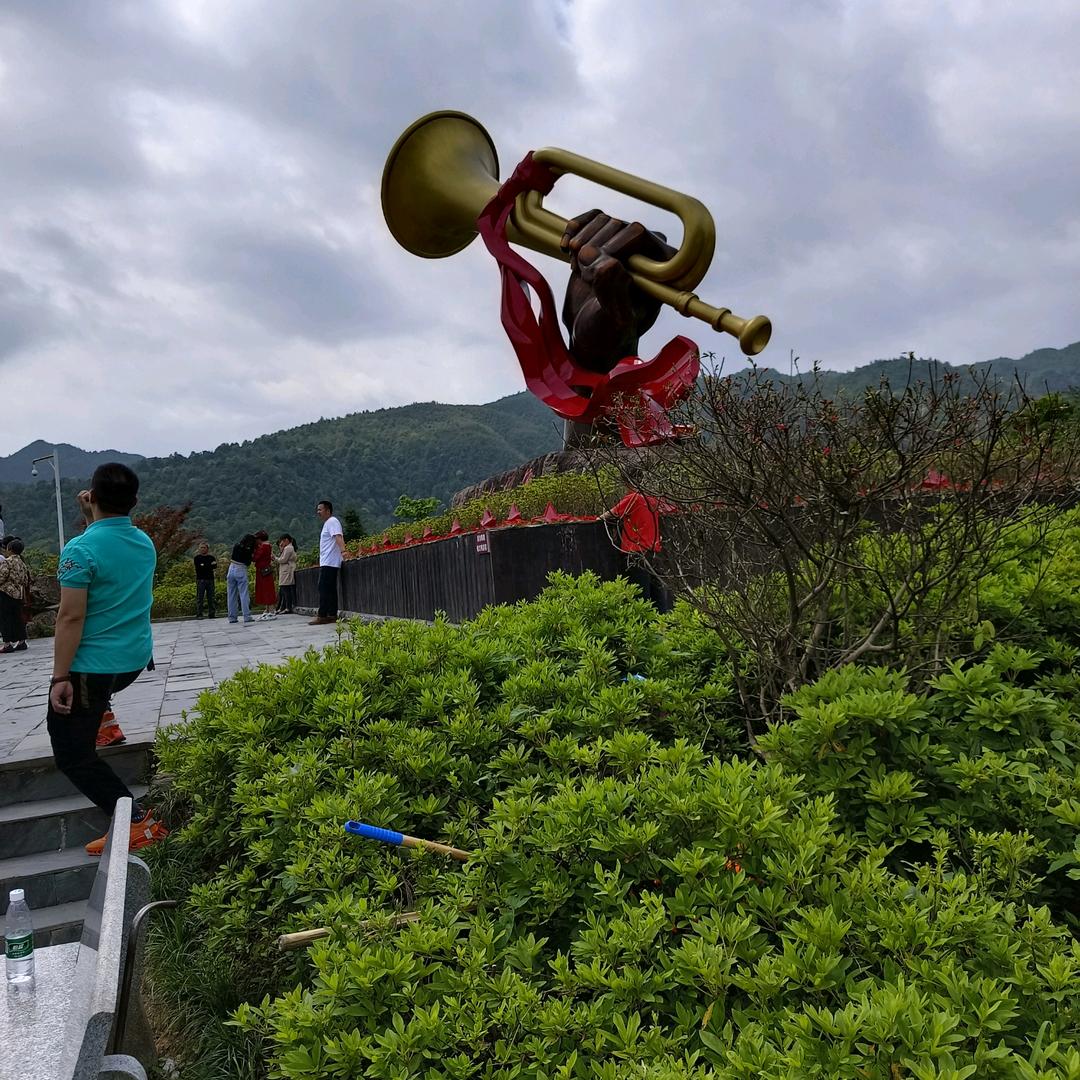 静泊短剧青香木